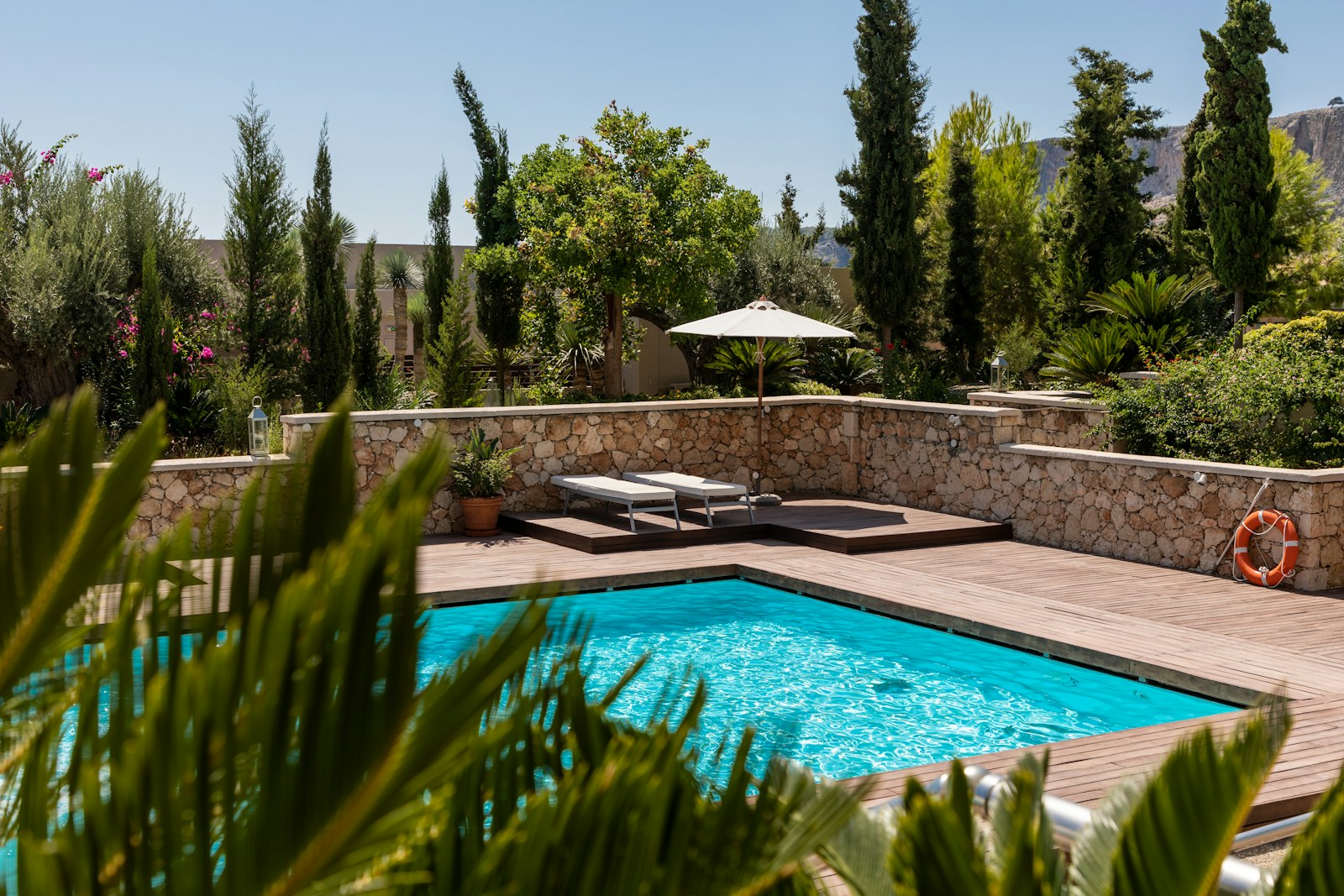 Swimming pool surrounded by greenery